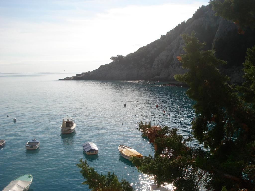 Guesthouse Villa Annadora Brseč Εξωτερικό φωτογραφία