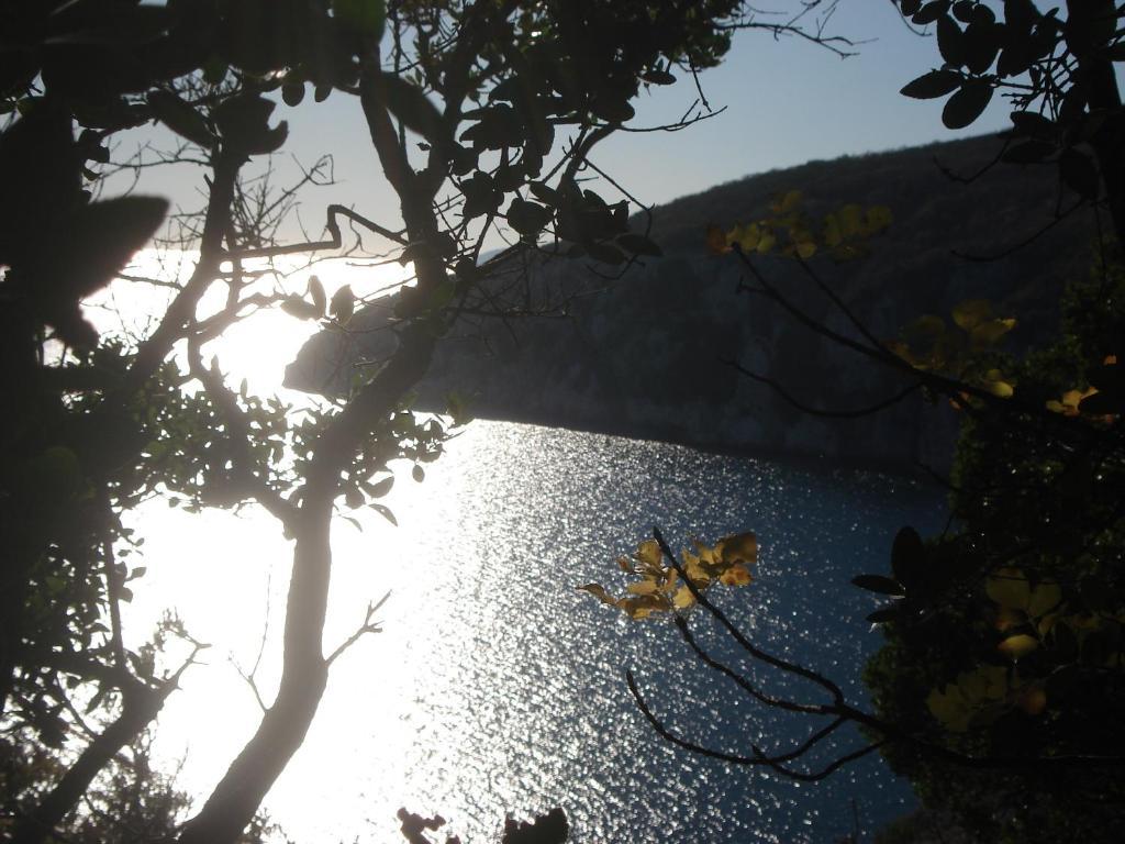 Guesthouse Villa Annadora Brseč Εξωτερικό φωτογραφία